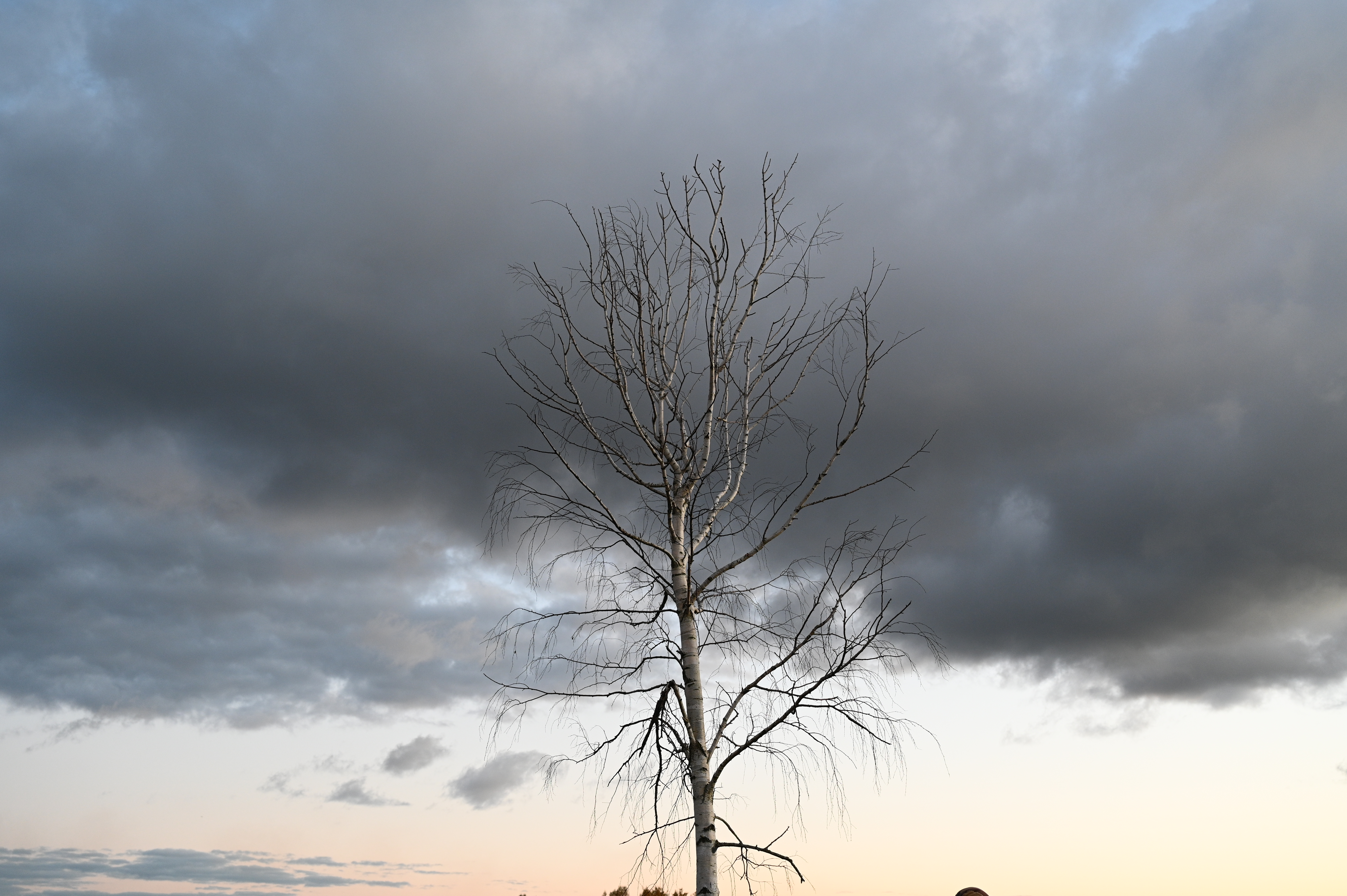 2025/10/18 - walk/DSC_0574.JPG